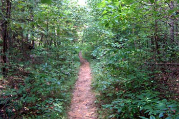 Mountain Bike Trail